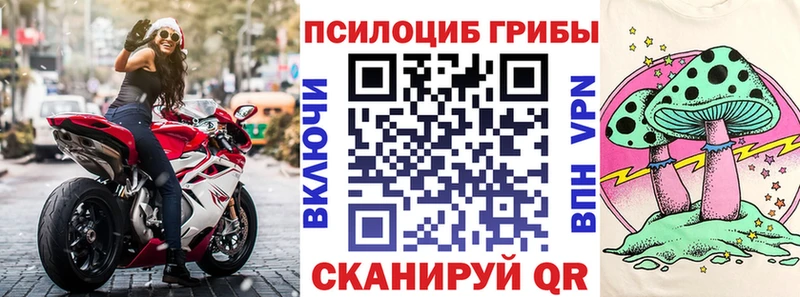 blacksprut маркетплейс даркнет сайт Апшеронск Псилоцибиновые грибы прущие грибы